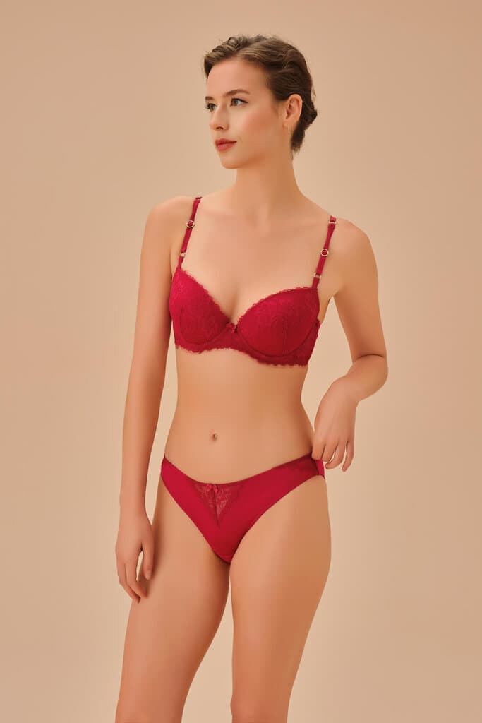 Suwen Wine Sapphire Slip Panty - S 2