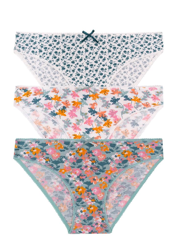 Suwen Flower Garden 3 P Printed Slip Multipack Panties - L