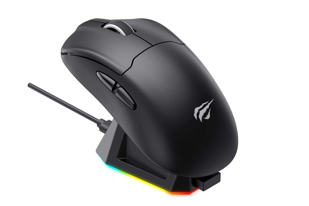 HAVIT RGB Gaming Mouse - Tri-Mode, 19000 DPI - Black (MS979WB)