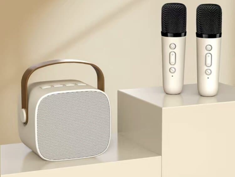 Wireless Karaoke Speaker with Bluetooth 5.0