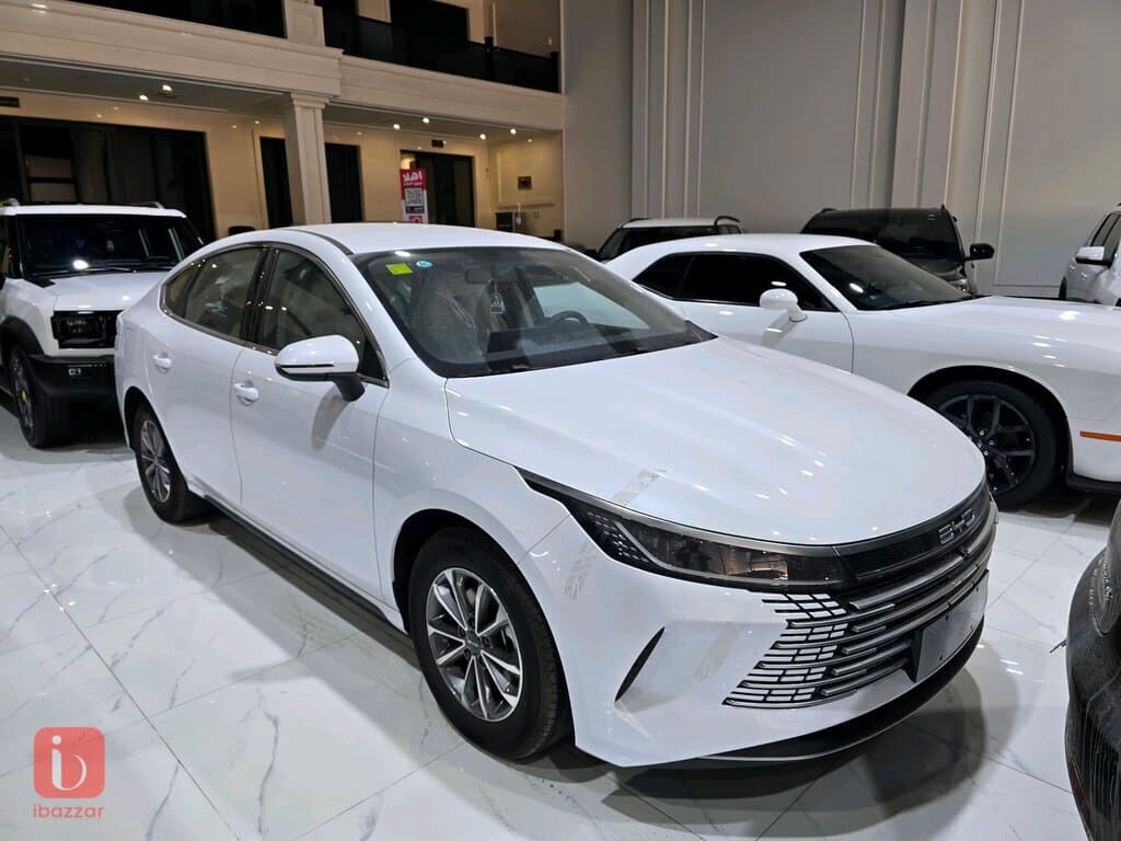 BYD Destroyer