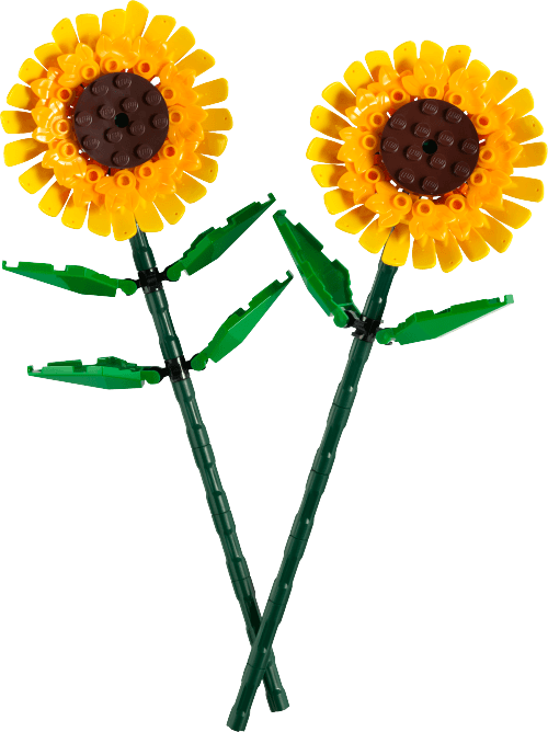 LEGO Botanicals Sunflowers - 40524