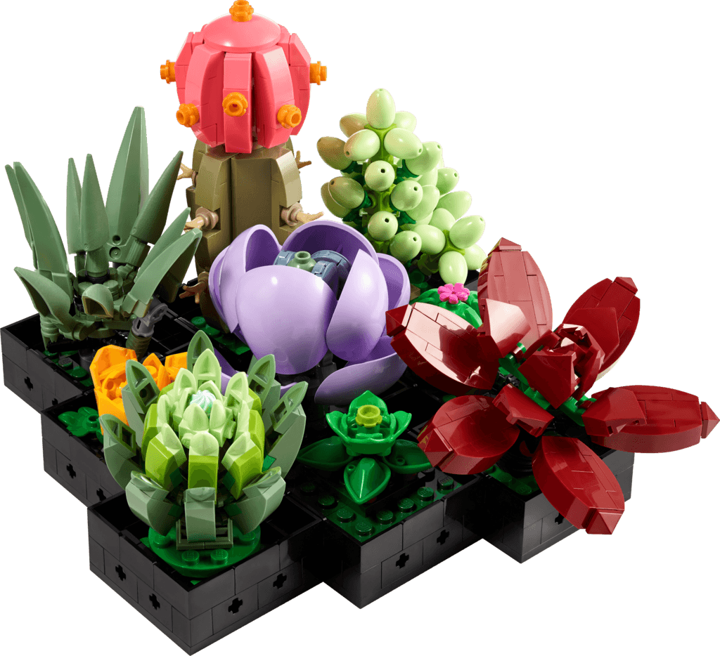 LEGO Botanical Succulents - 10309