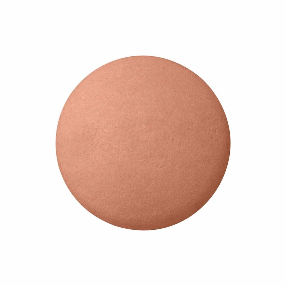 BOURJOIS BLUSH BOITE RONDE 85 SIENNE 3
