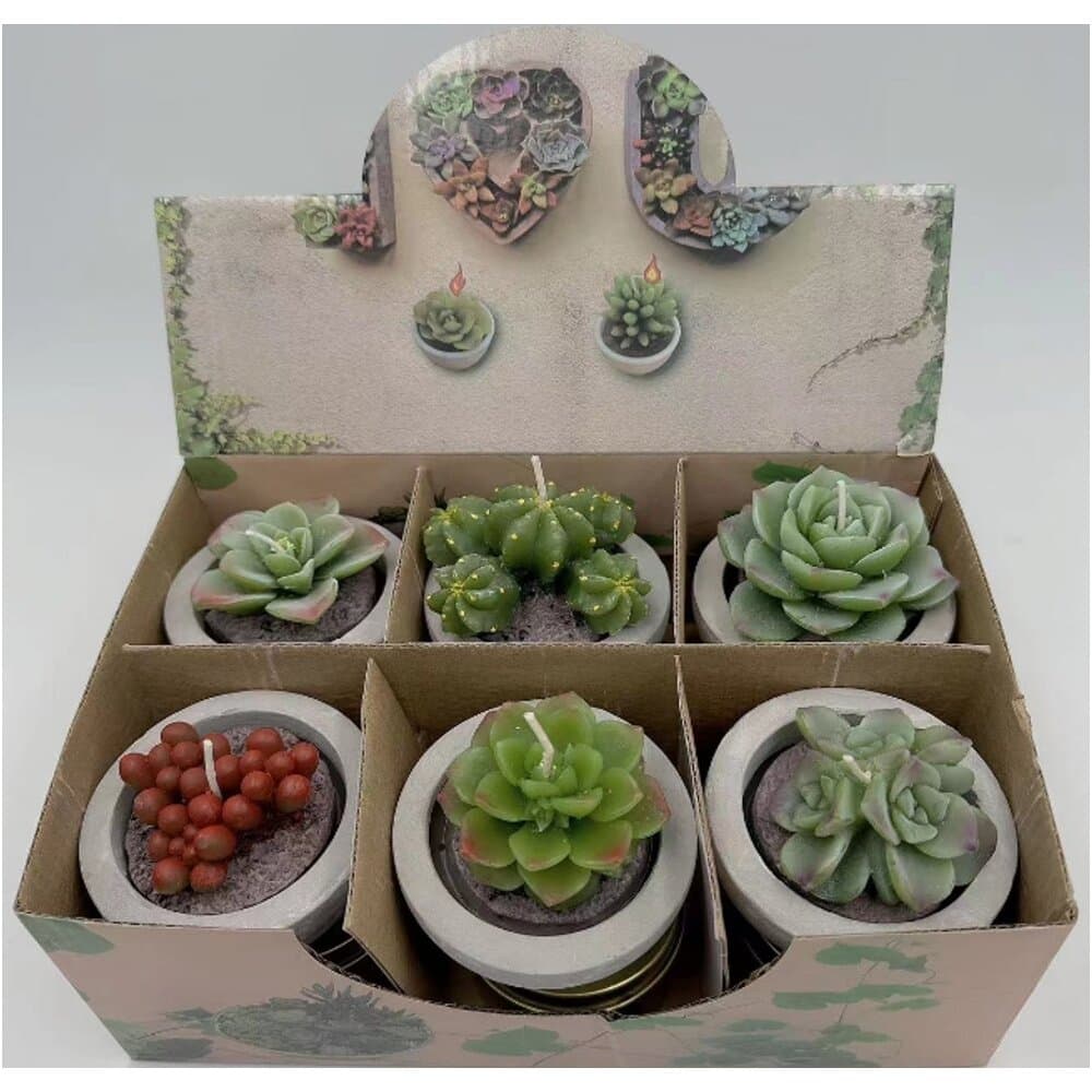 Oster Succulent Candle