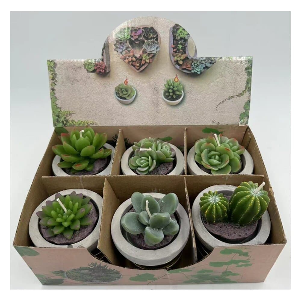 Oster Succulent Candle