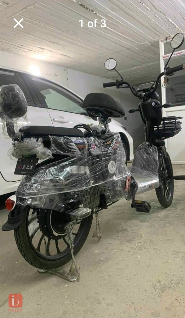 پاسکیل شەحن 2