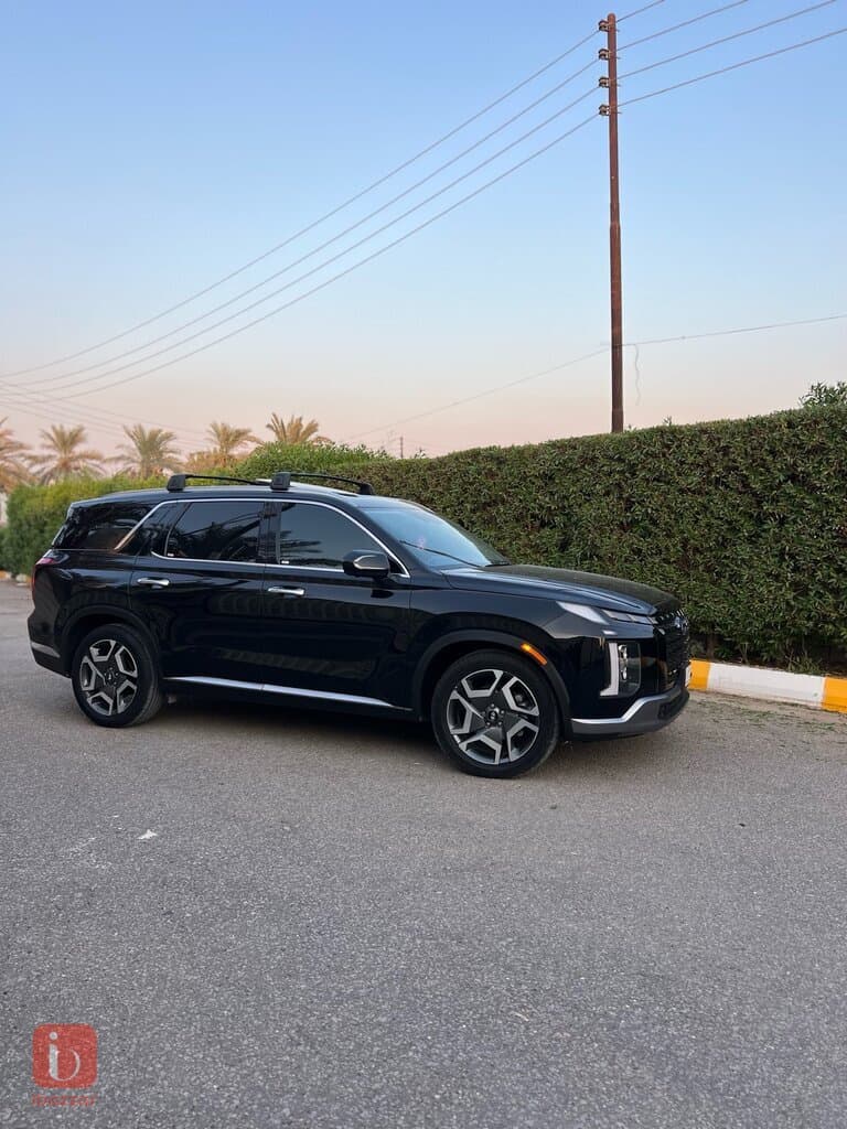 Hyundai Palisade — photo 3