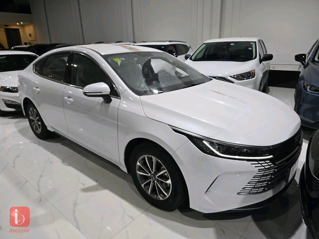 BYD Destroyer