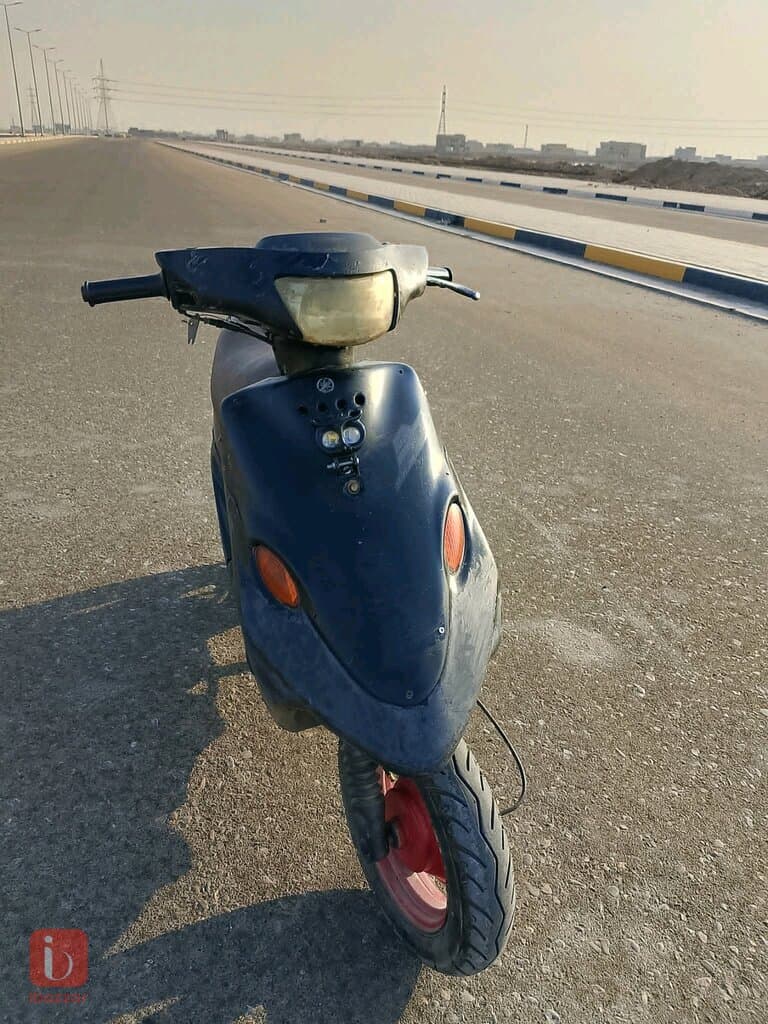 بصره كرمة علي