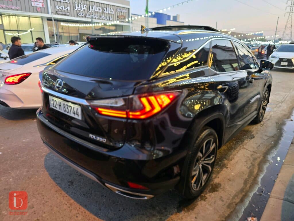 Lexus RX-Series 6