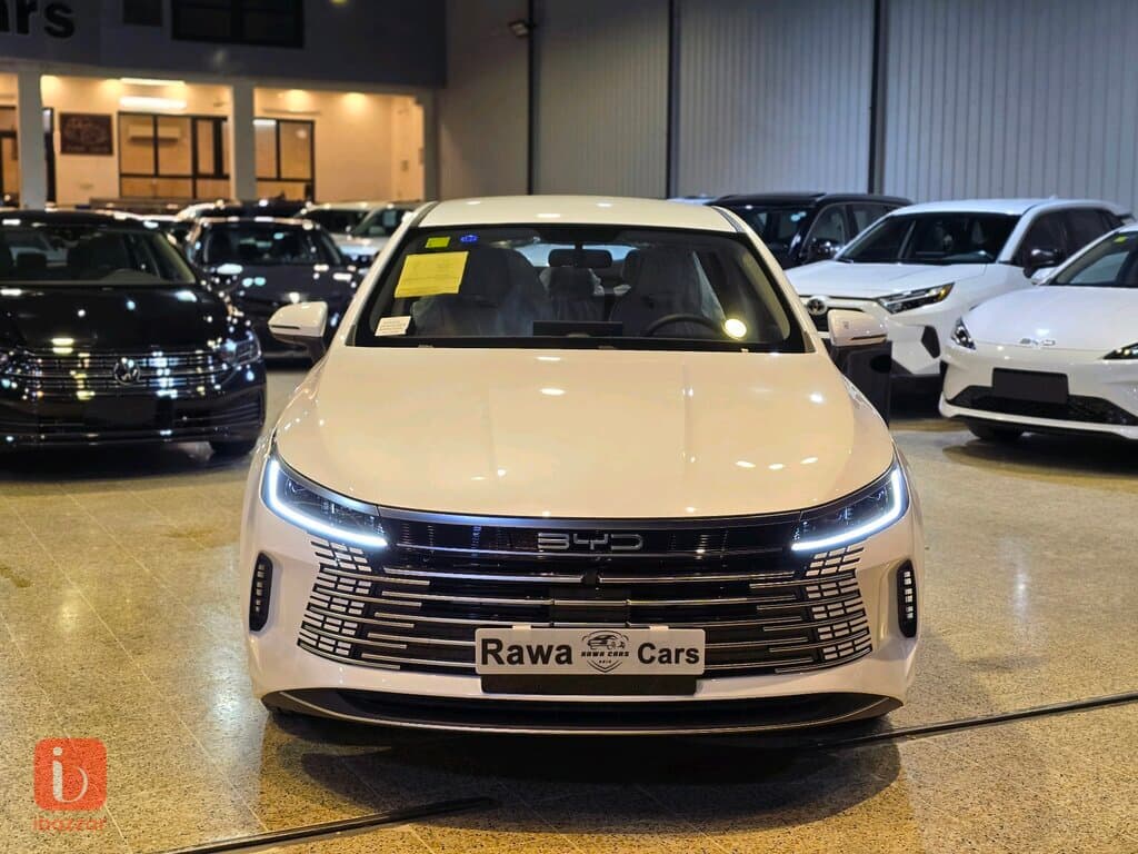 BYD Destroyer — photo 2