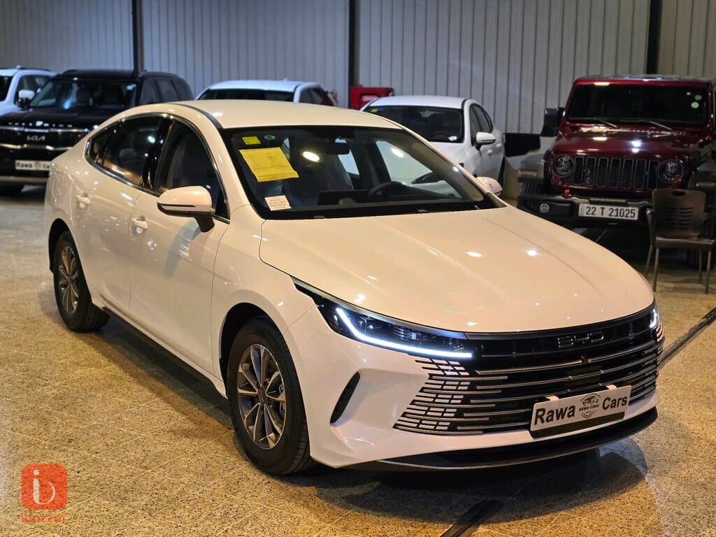 BYD Destroyer — photo 3