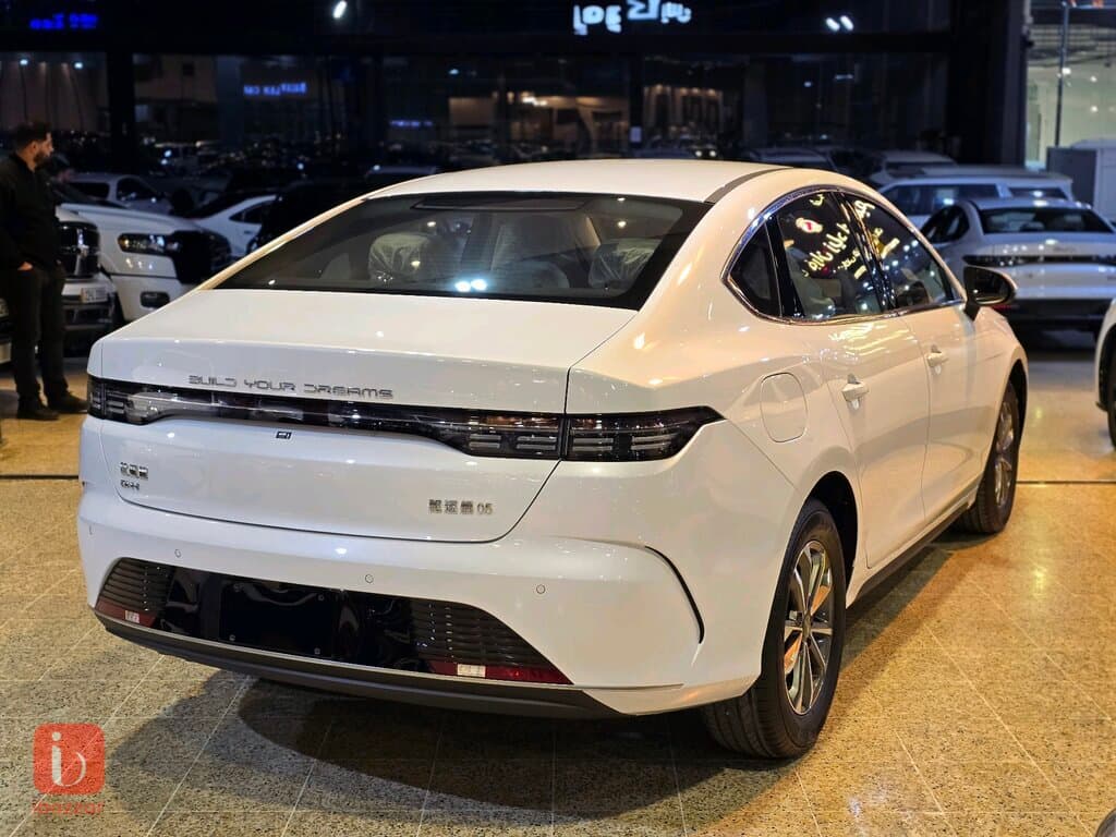BYD Destroyer — photo 5