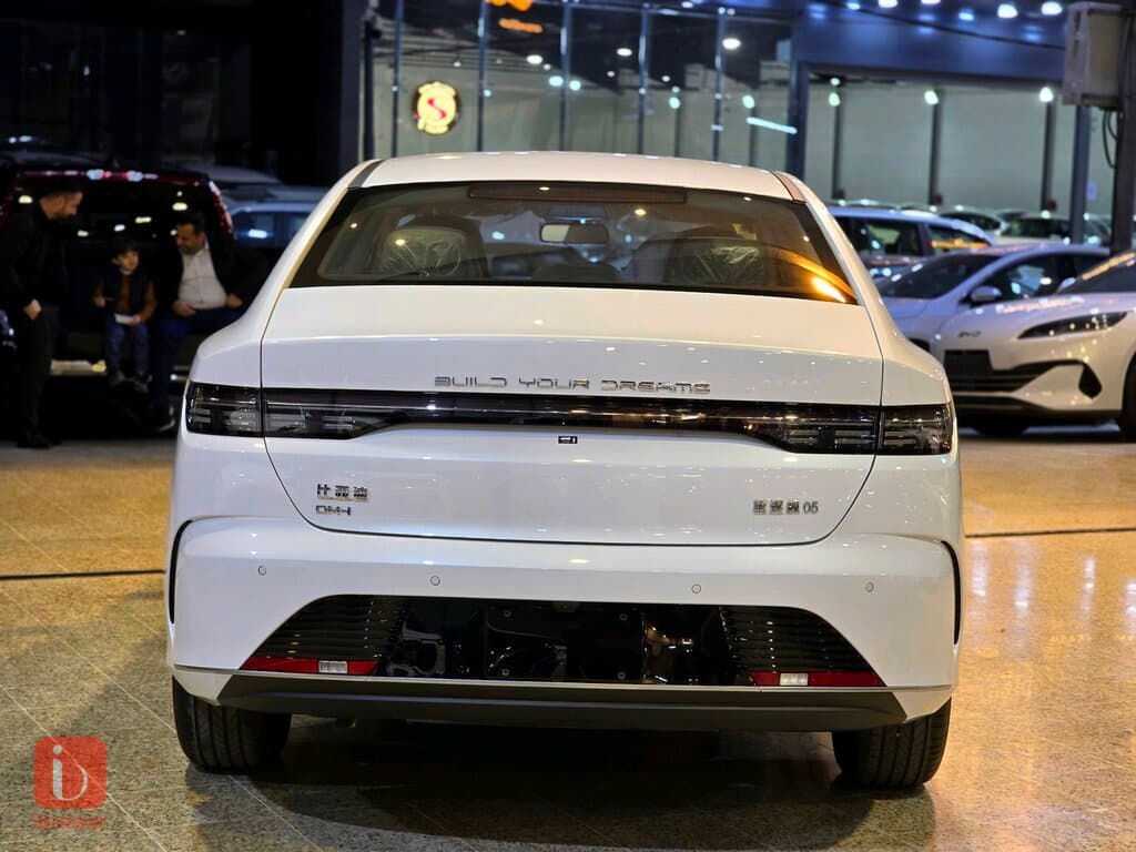 BYD Destroyer — photo 6