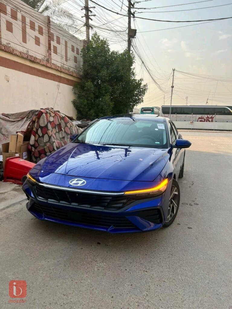 كربلاء المقدسه