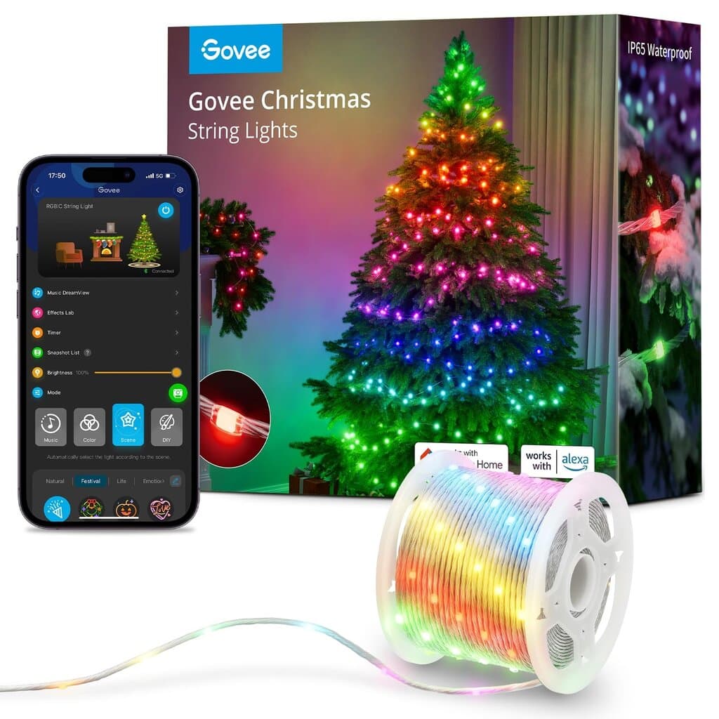 Govee H70C1 String Lights