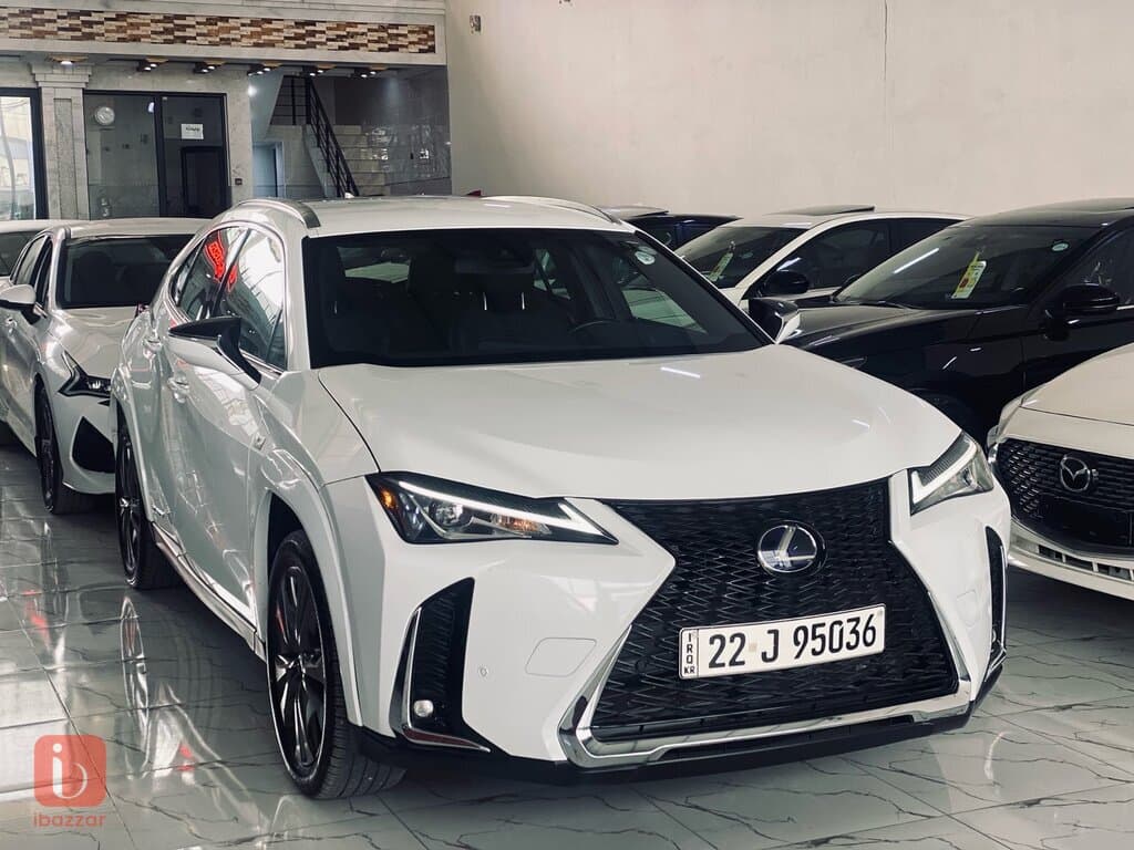 Lexus UX 250H
