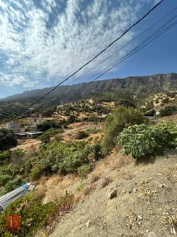 Image 13
