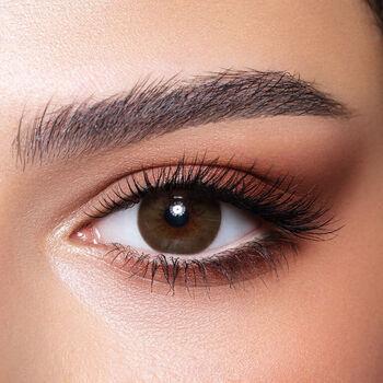 BROWN SHADOW