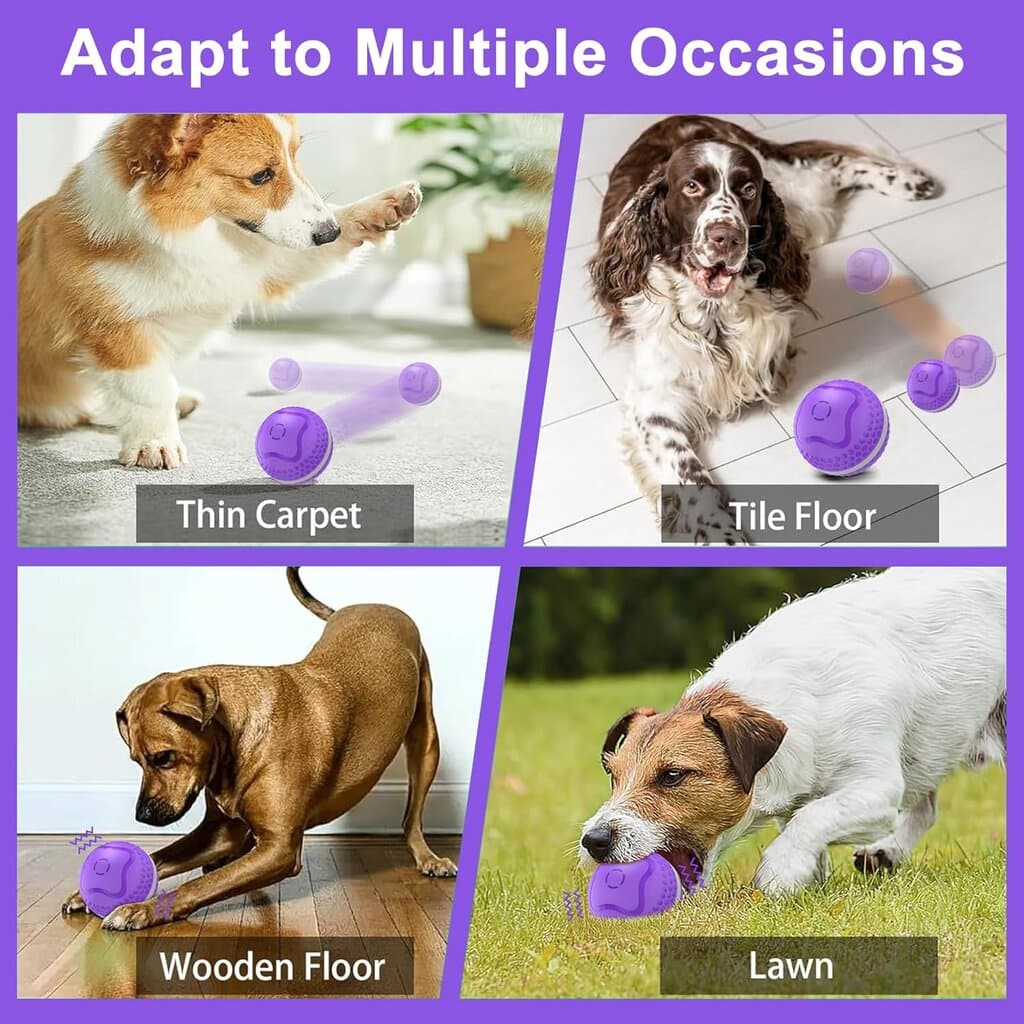 Pet Toy - Purple 7