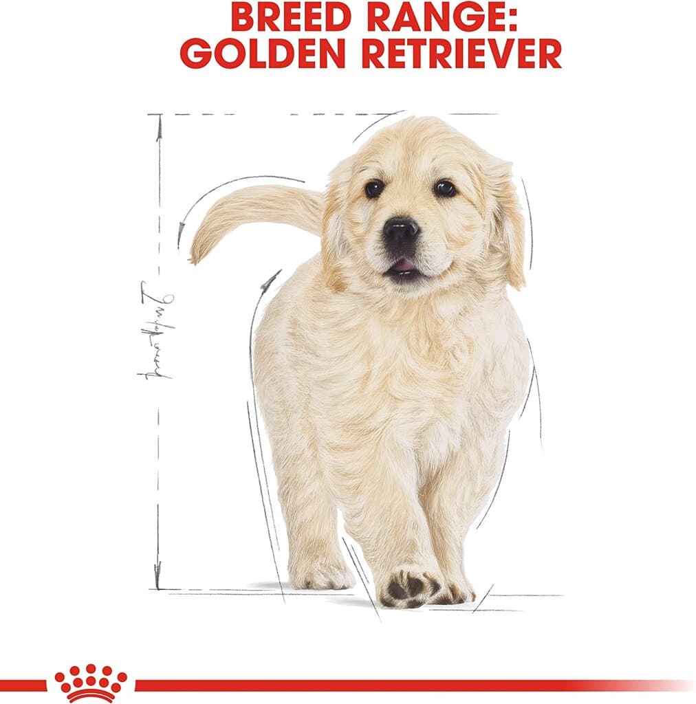 Royal canin Golden Retriever Puppy 12Kg 4
