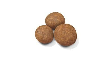 ڕۆیال کانین ماکزی 4Kg — photo 2