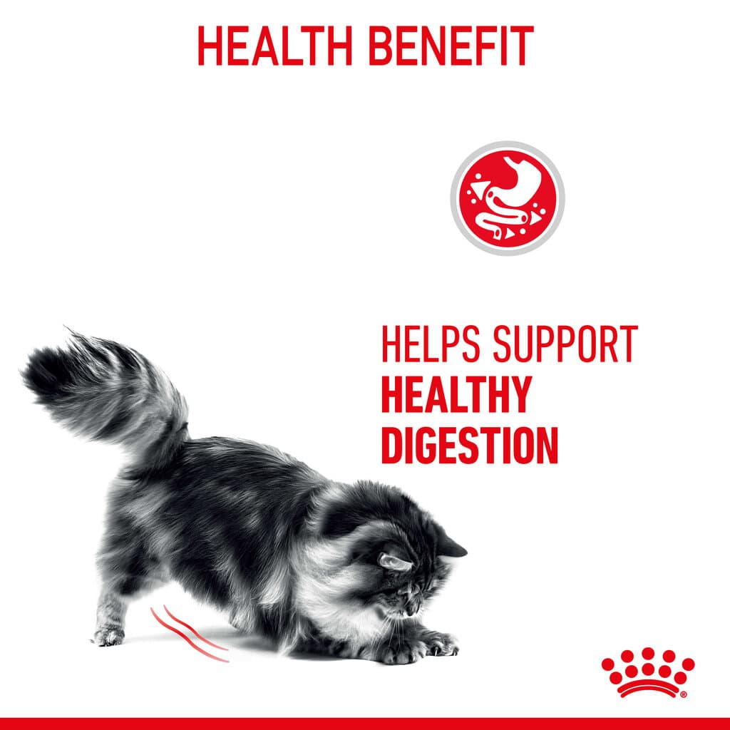 Royal Canin Digest Sensitive 1X 5