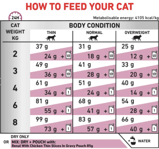 Royal Canin Renal Special 2Kg 3