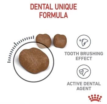 Royal Canin Dental Care 1.5Kg 4
