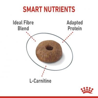 Royal Canin Lightweight 1.5Kg 2