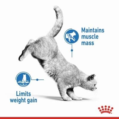 Royal Canin Lightweight 1.5Kg 4