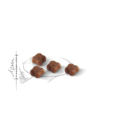 Royal Canin Mother & Babycat 10Kg 2