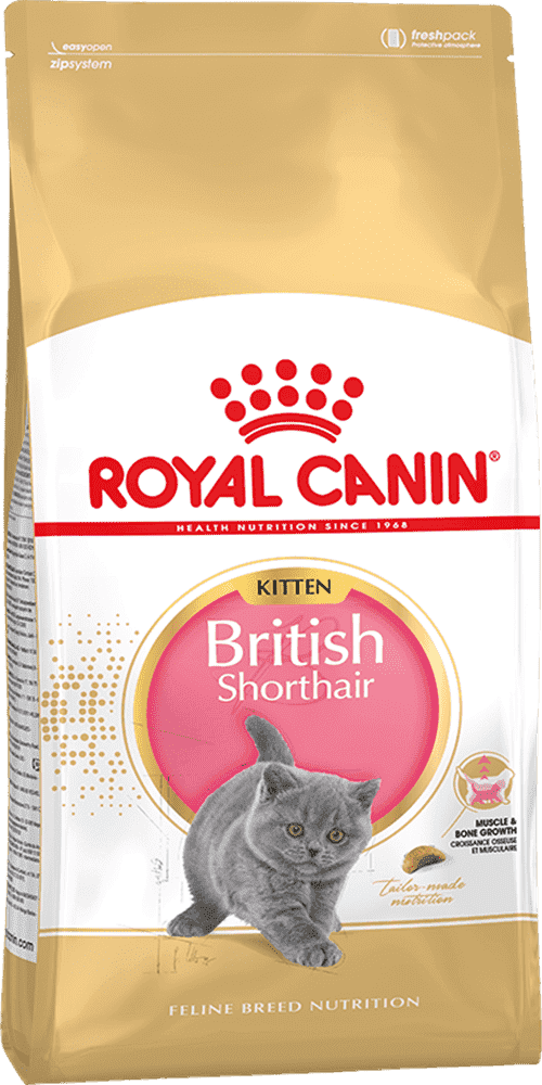 Royal Canin British Shorthair Kitten 2Kg
