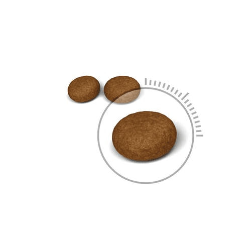 Royal Canin Hair & Skin 2Kg 2