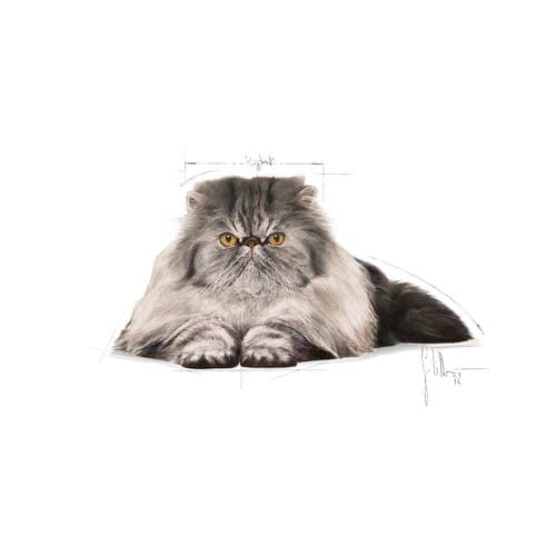 Royal Canin Persian Adult 2Kg 3