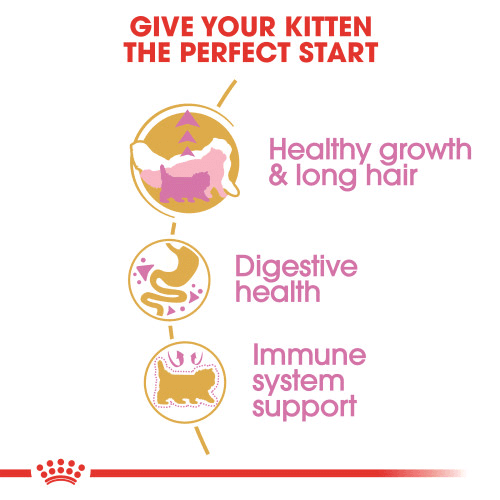 Royal Canin Persian Kitten 2Kg 2