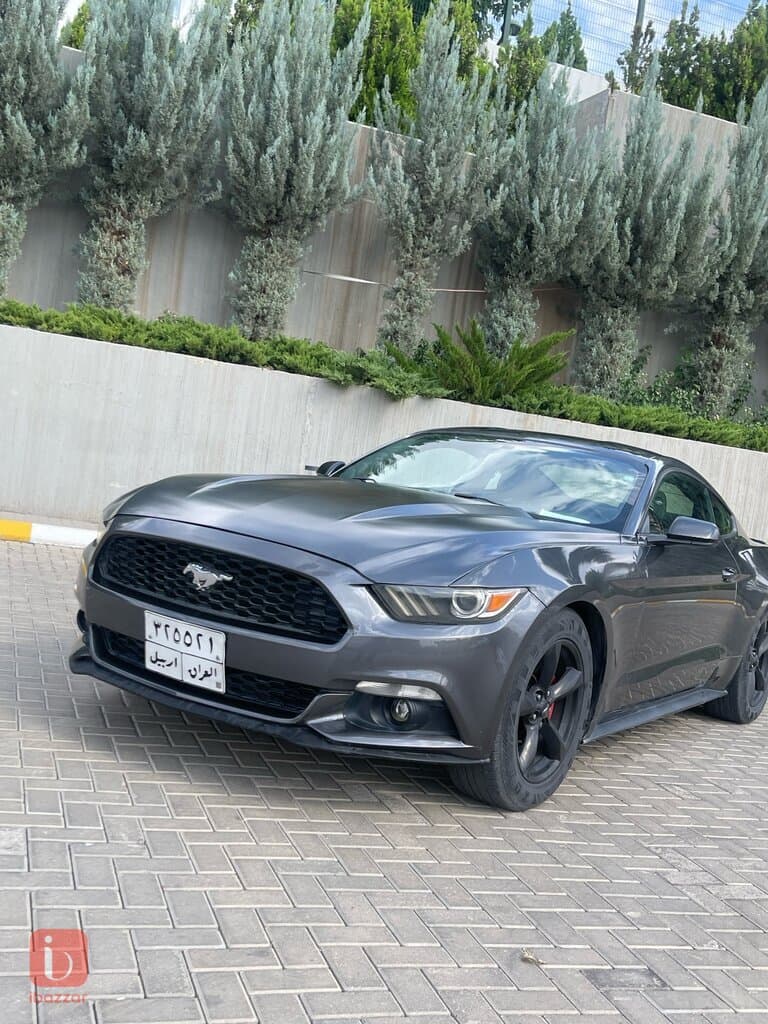 Ford Mustang Ecoboost 2