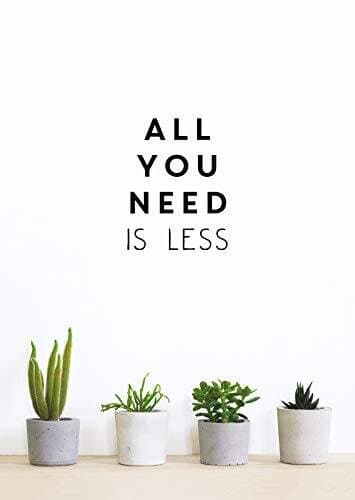 All You Need is Less: MINIMALIST LIVING FOR MAXIMUM HAPPINESS