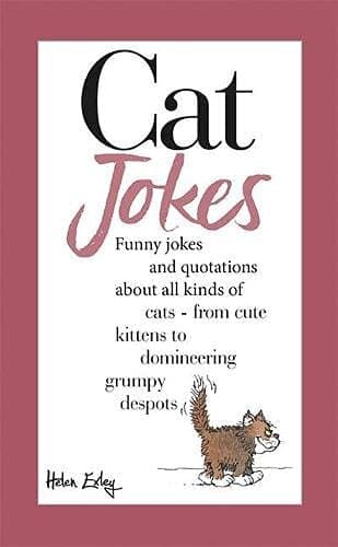 Cat Jokes