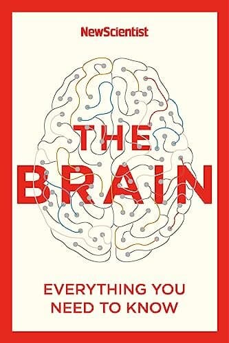 The Brain: Everything You Need to Know