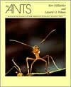 The Ants