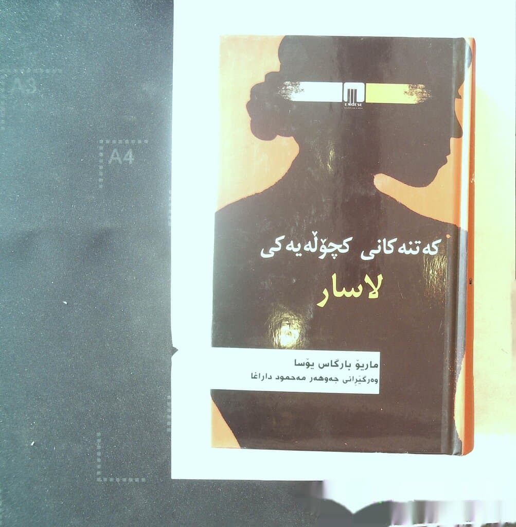 The Adventures of a Vain Girl