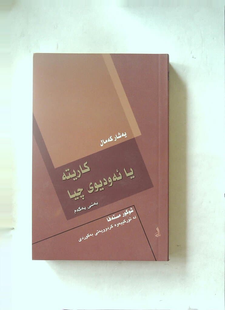 The Work Beyond the Mountain