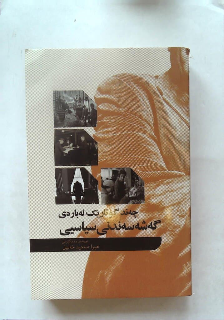 Several Essays on Political Development