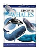 Wonders of Learning: Discover Whales