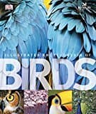 The Illustrated Encyclopedia of Birds. (Dk)