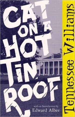Cat On A Hot Tin Roof