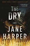 The Dry: A Novel