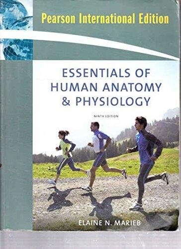 Essentials Of Human Anatomy And Physiology